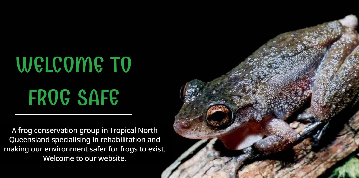 Welcome to Frog Safe